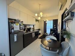 Sims Urban Oasis (D14), Condominium #636961951